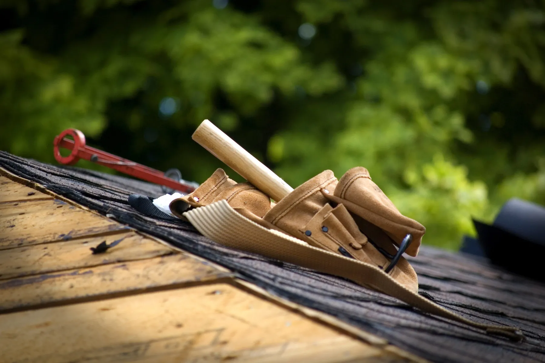 Is It Time for Roof Repairs? Signs Your Property is Due for Them