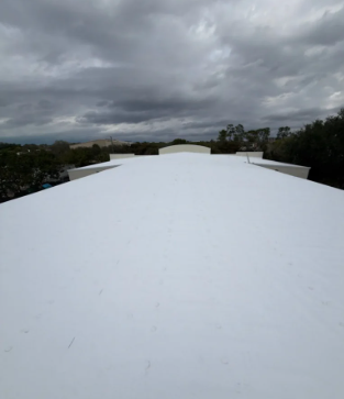 Howard Building - Finished Roof