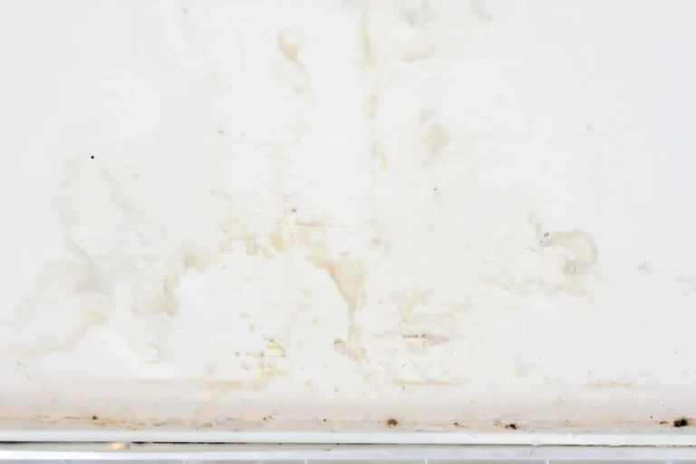 Interior ceiling water stains caused by an active roof leak and moisture intrusion