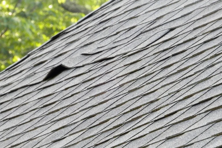 7 Signs Your Southwest Florida Roof Needs More Than a Patch-Up