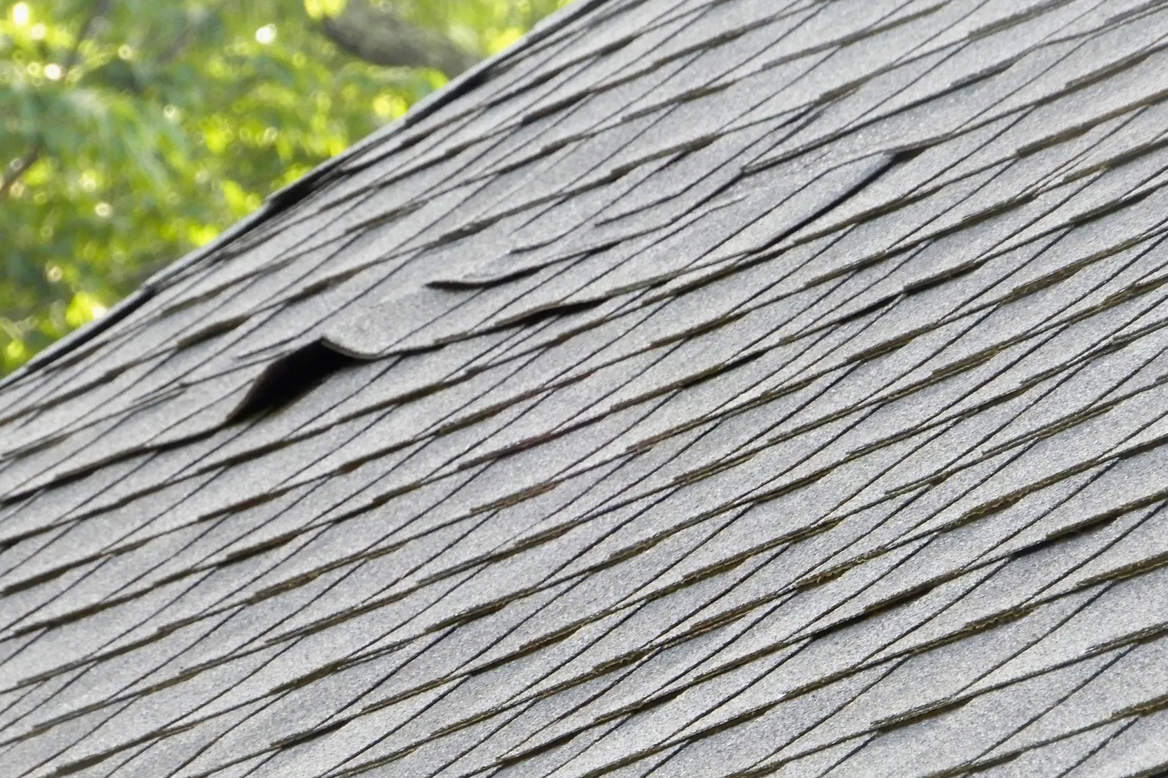 7 Signs Your Southwest Florida Roof Needs More Than a Patch-Up