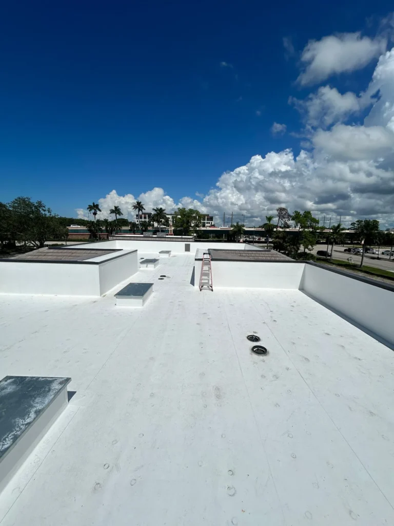 Plaza Halstatt TPO roofing system with roof drains